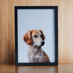 MemoPetPet | Custom LED Pet Portrait for Pet Lovers – Personalized Light-Up Art