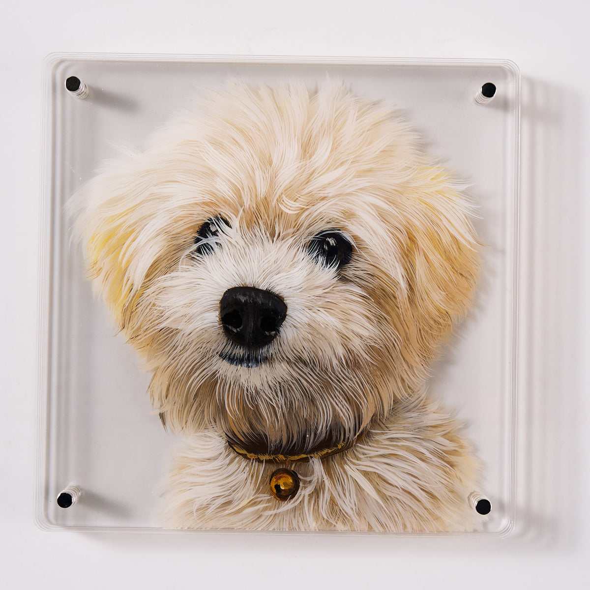Custom 3D Pet Portrait from Photo – Hand-Drawn Dog or Cat Memorial Gift