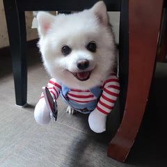 Funny Pet Clothes – Killer Doll Costume for Cats & Small Dogs