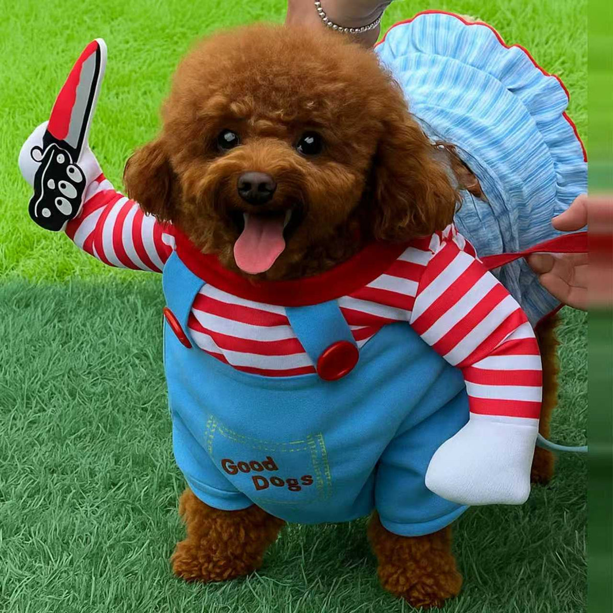 Funny Pet Clothes – Killer Doll Costume for Cats & Small Dogs